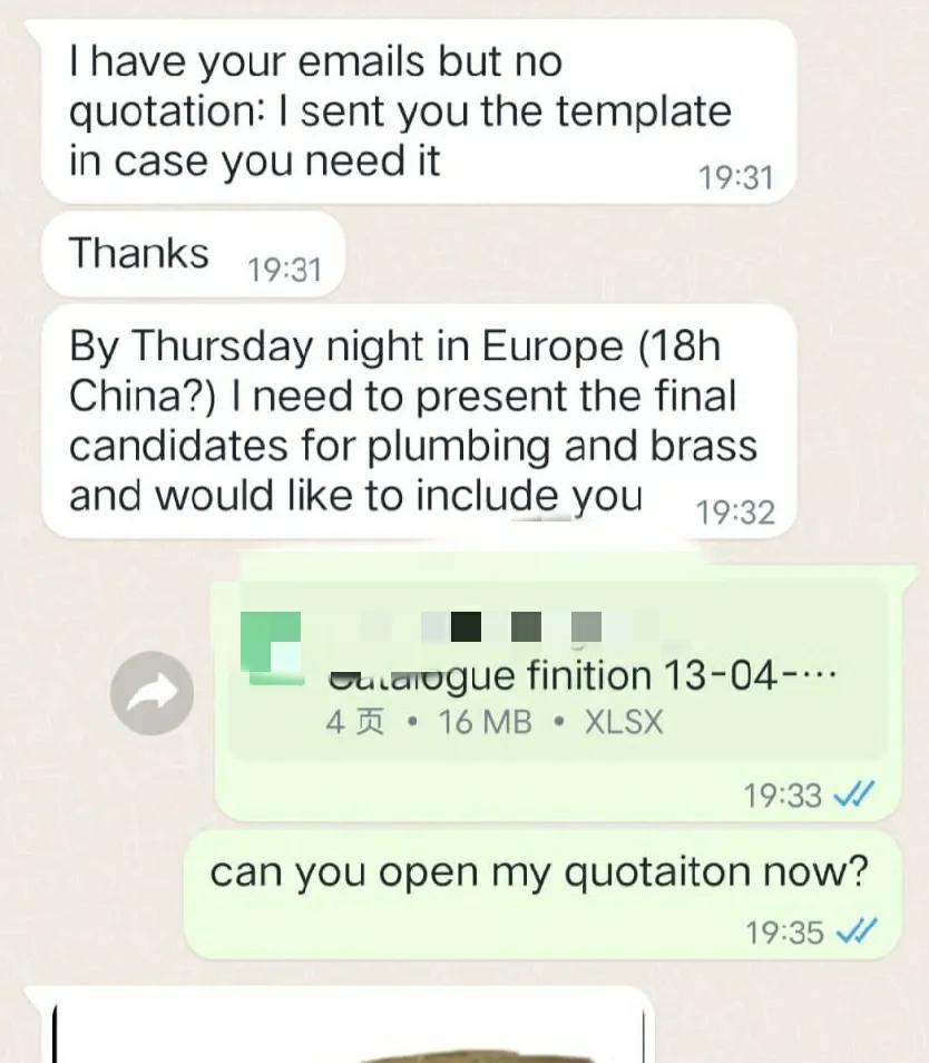 正当我以为报价石沉大海的时候，西班牙客户突然WhatsApp联系我了，没有消息的