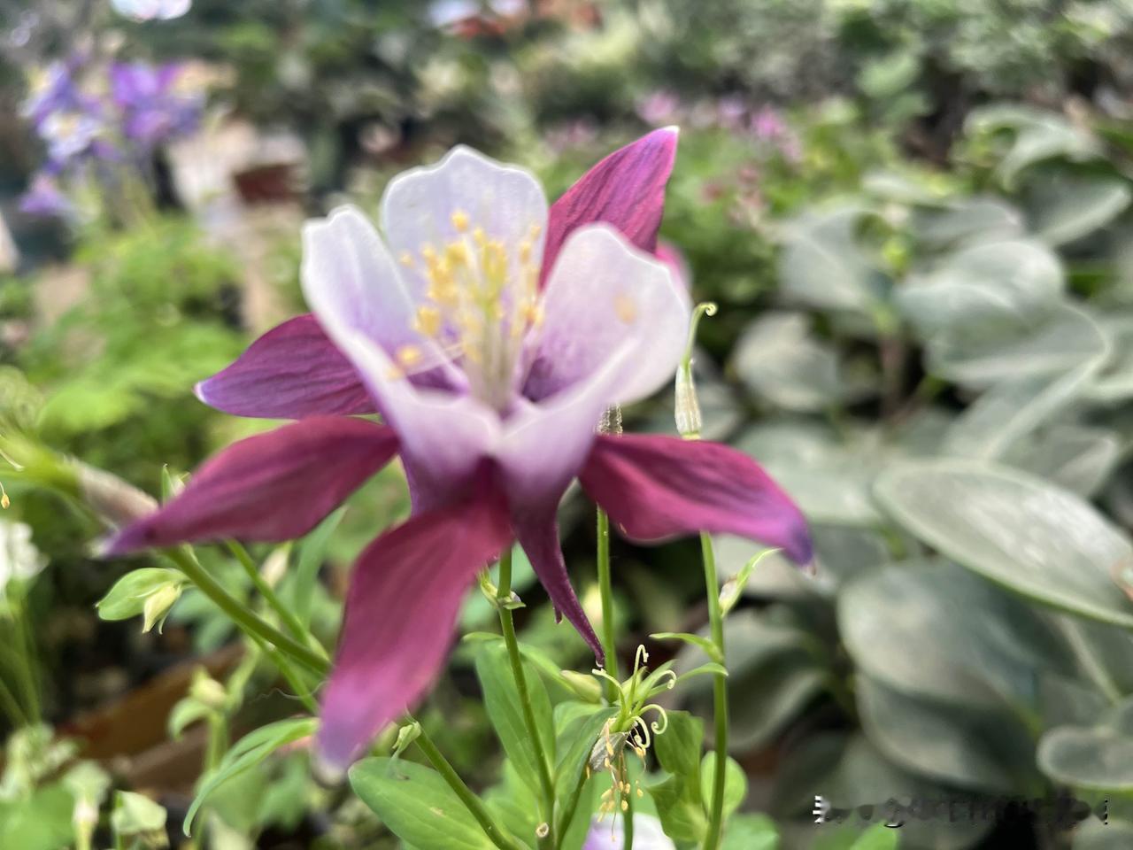 个人认为，一天一顿正餐足够。
早餐快餐。晚餐减脂餐。只有中午一顿正餐。
但三餐营