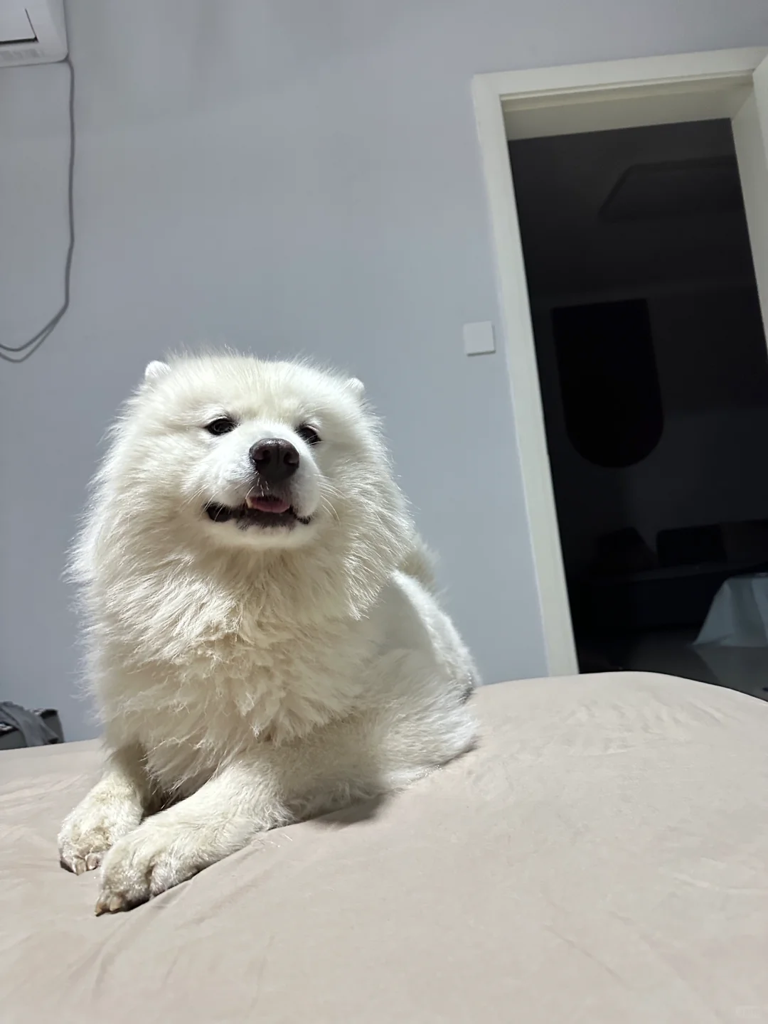请问我可以上床睡觉吗