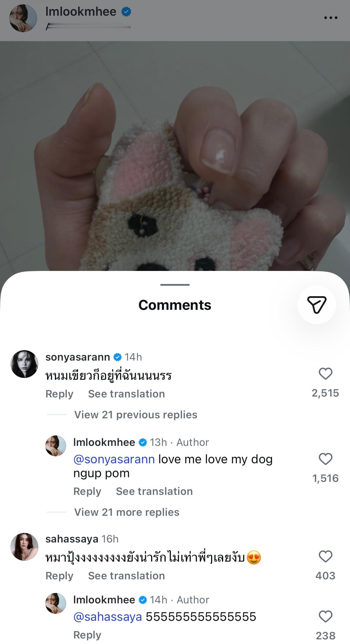🐰：nom就在我这里呀～🐨：love me love my dog ngup