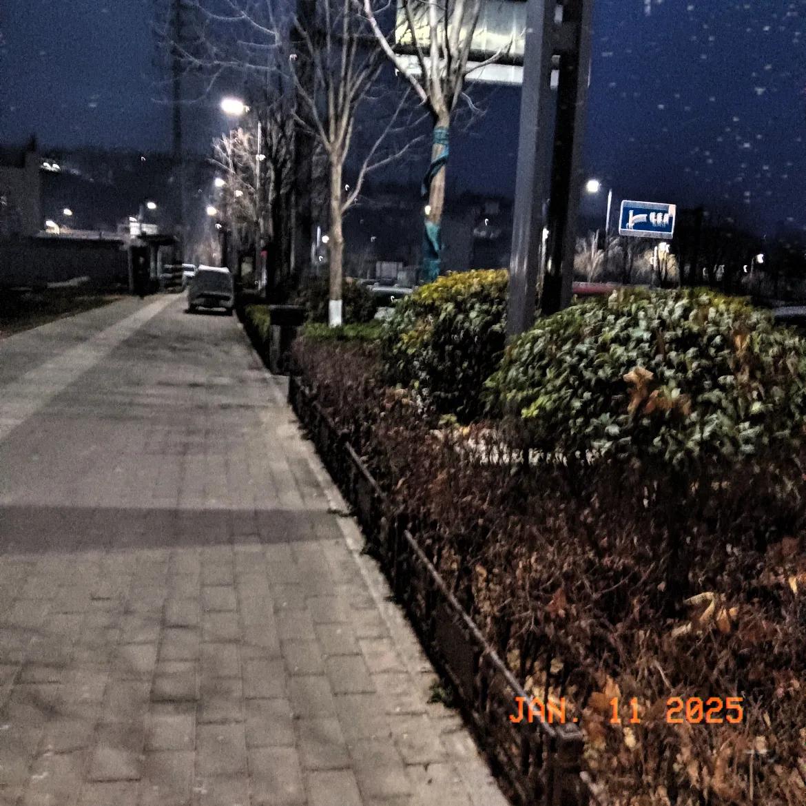 冬季的夜晚，风轻云淡之际，一串串明亮的街灯点缀着寂静的夜空；而在这寒冷的夜色中，