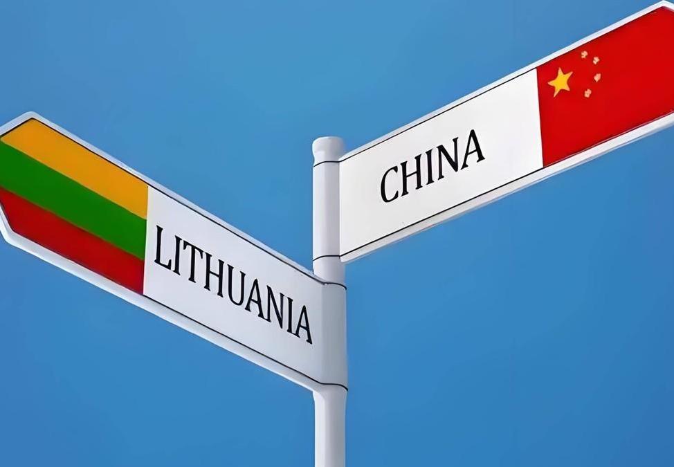 立陶宛寻求加大利用中间走廊对华出口，对于立陶宛这种不知道天高地厚的小国，不予理睬