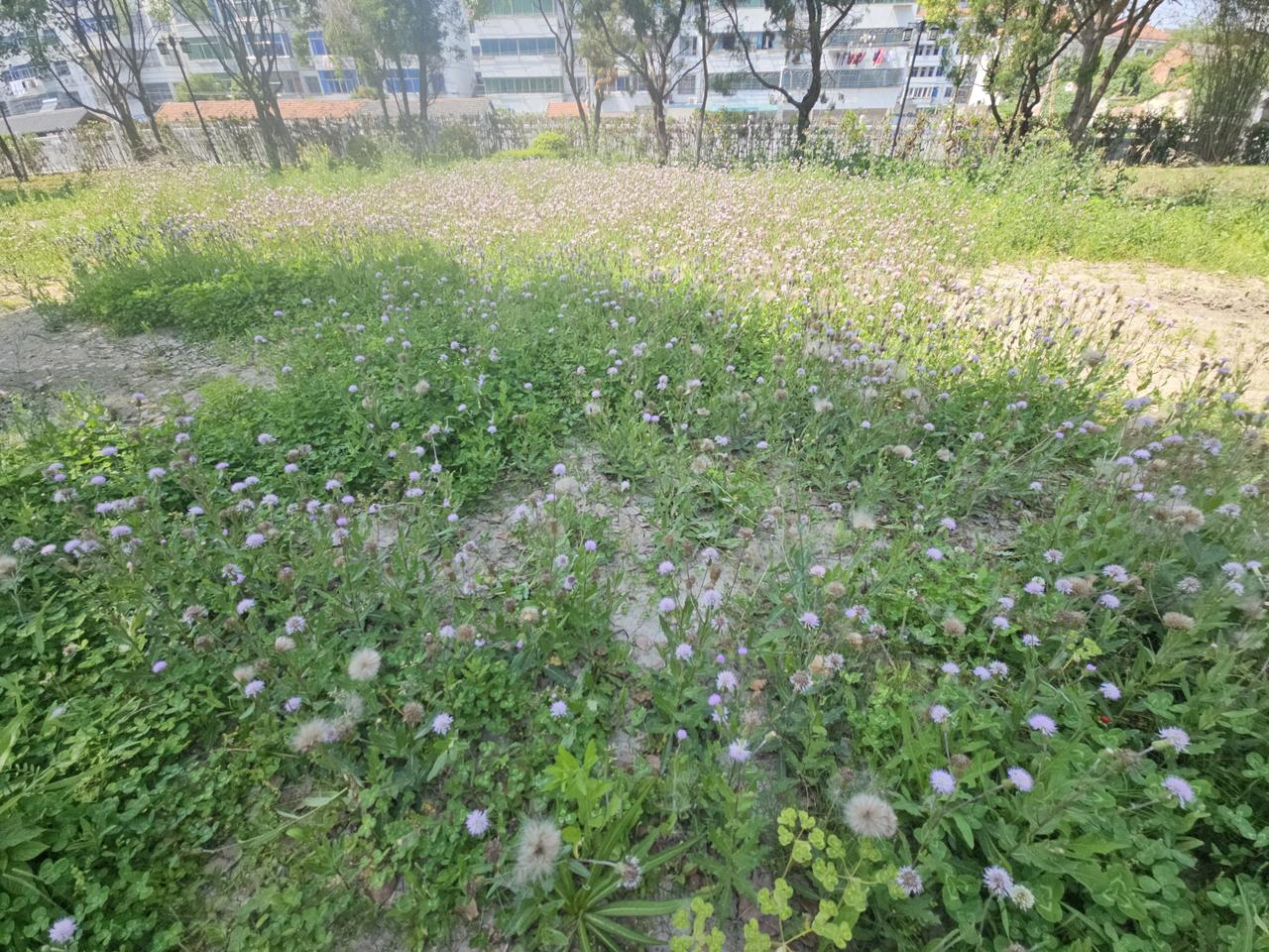 作为本土红安人看法来讲，红安还是非常有潜力的，红安南部新城就是工业的引擎也是链接