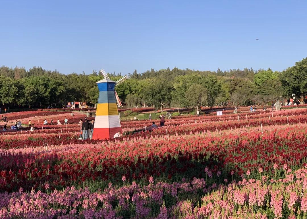 行走·在厦门｜翔安·香山郊野公园
⭐️推荐指数：5星（针对翔村人）
🍀点评：翔