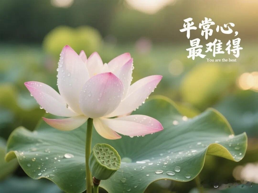 身是菩提树，心如明镜台。
时时勤拂拭，莫使有尘埃。
​神秀的偈子，想来也是好的。
