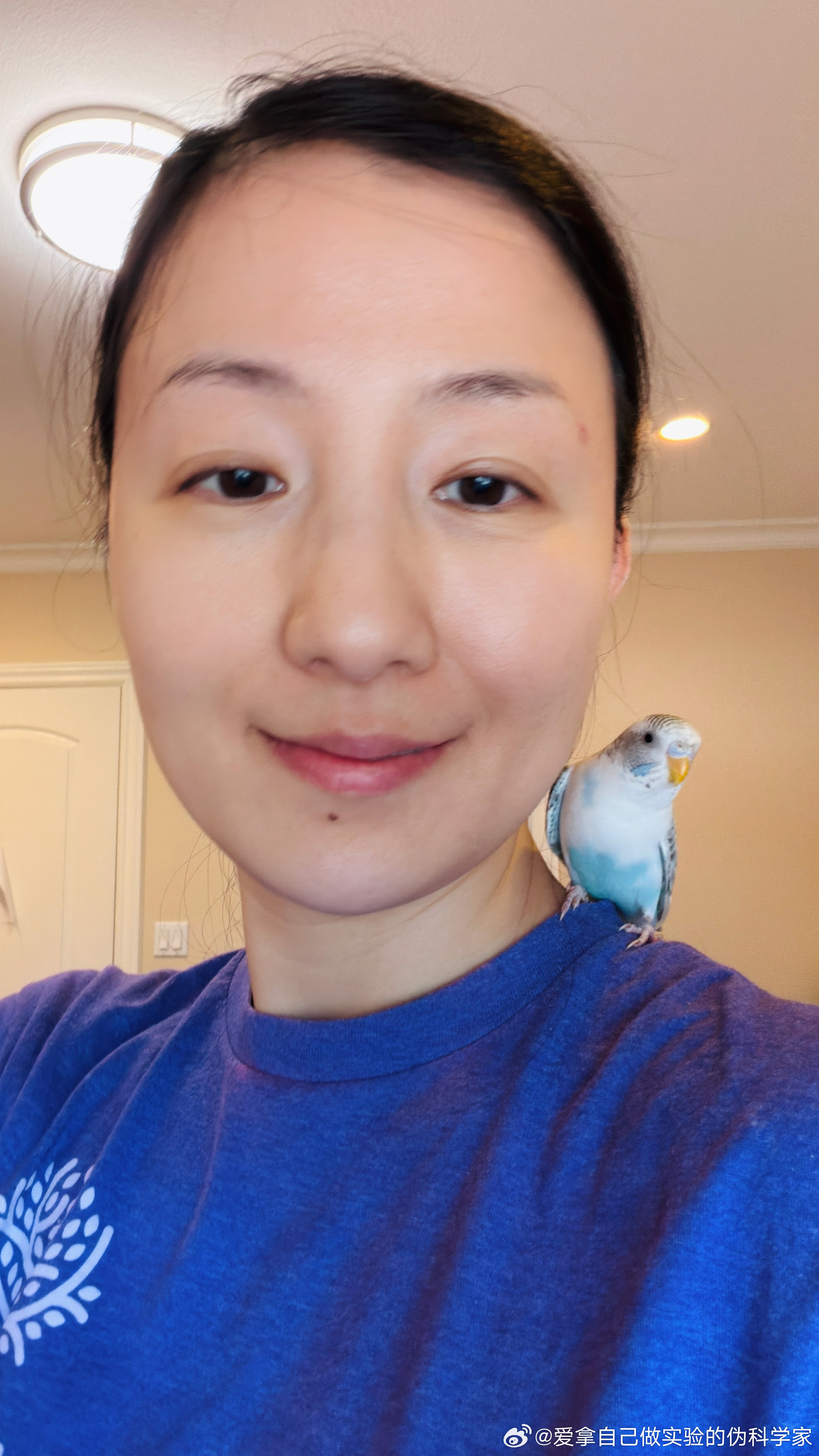 逆子这两天爱上站肩头喜欢项链、头发、衣领，耳朵👂可以拿脸蹭但是用手摸头还是要警