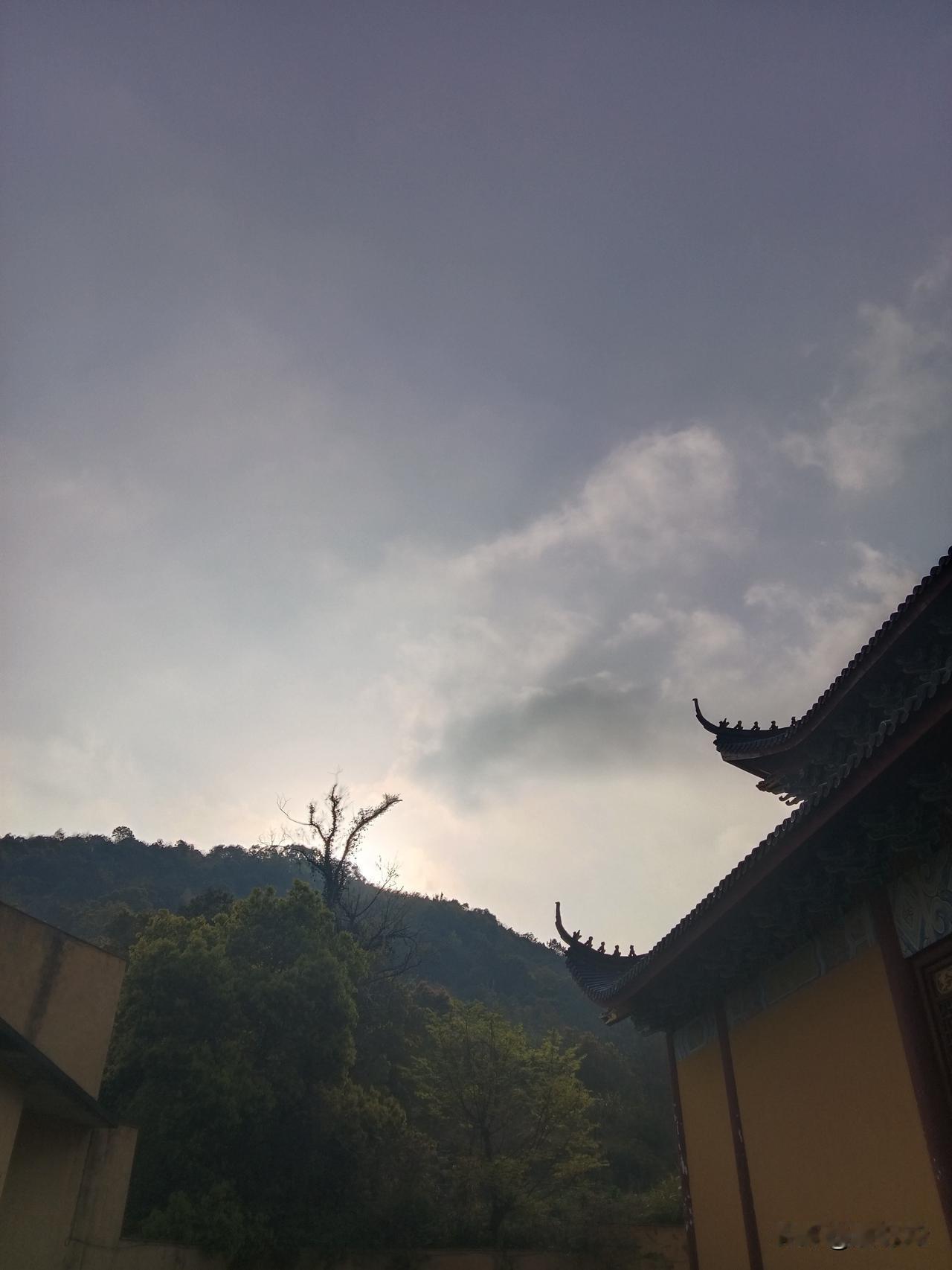 这是特朗普第四次遭到袭击了。在特朗普上台不久，本山人就发文预测，有可能有人要从物