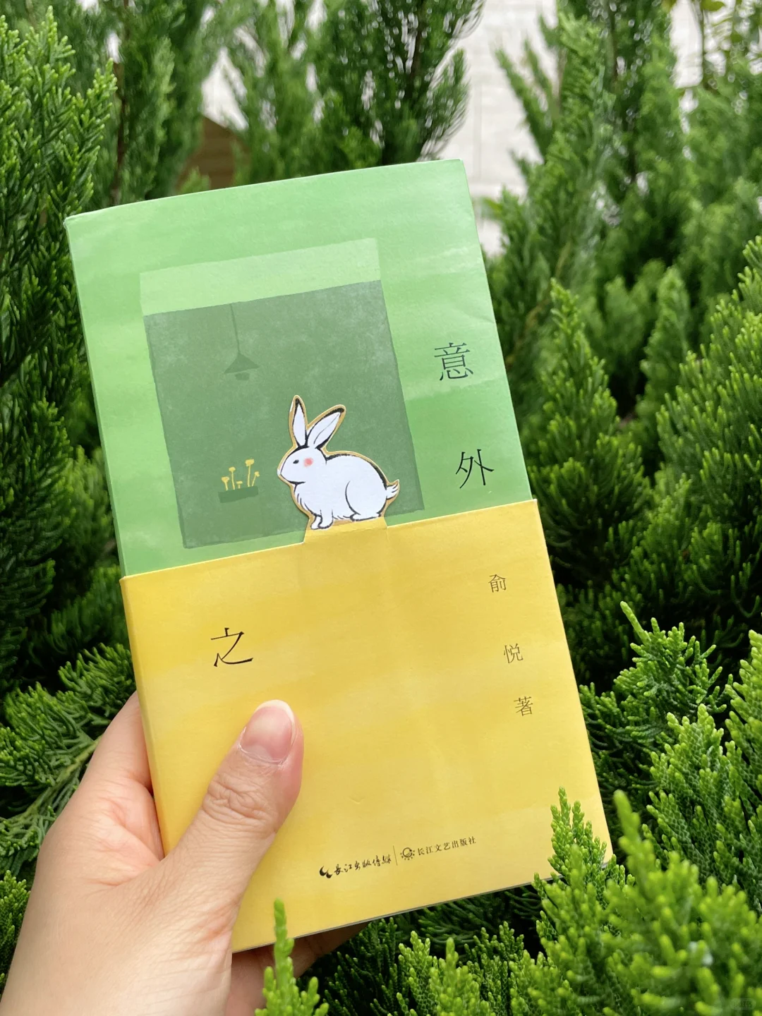 怎么会有这么温暖的书啊🥹我被狠狠治愈了！！