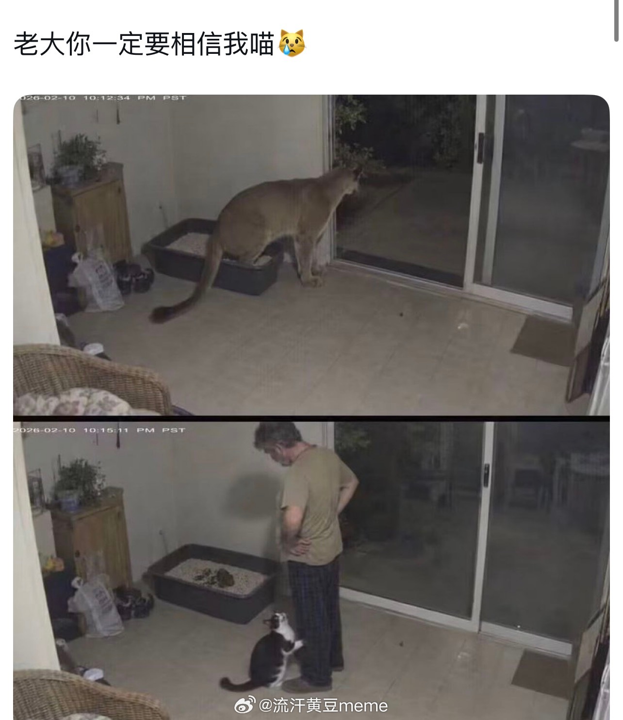 动物凶猛· ​​​