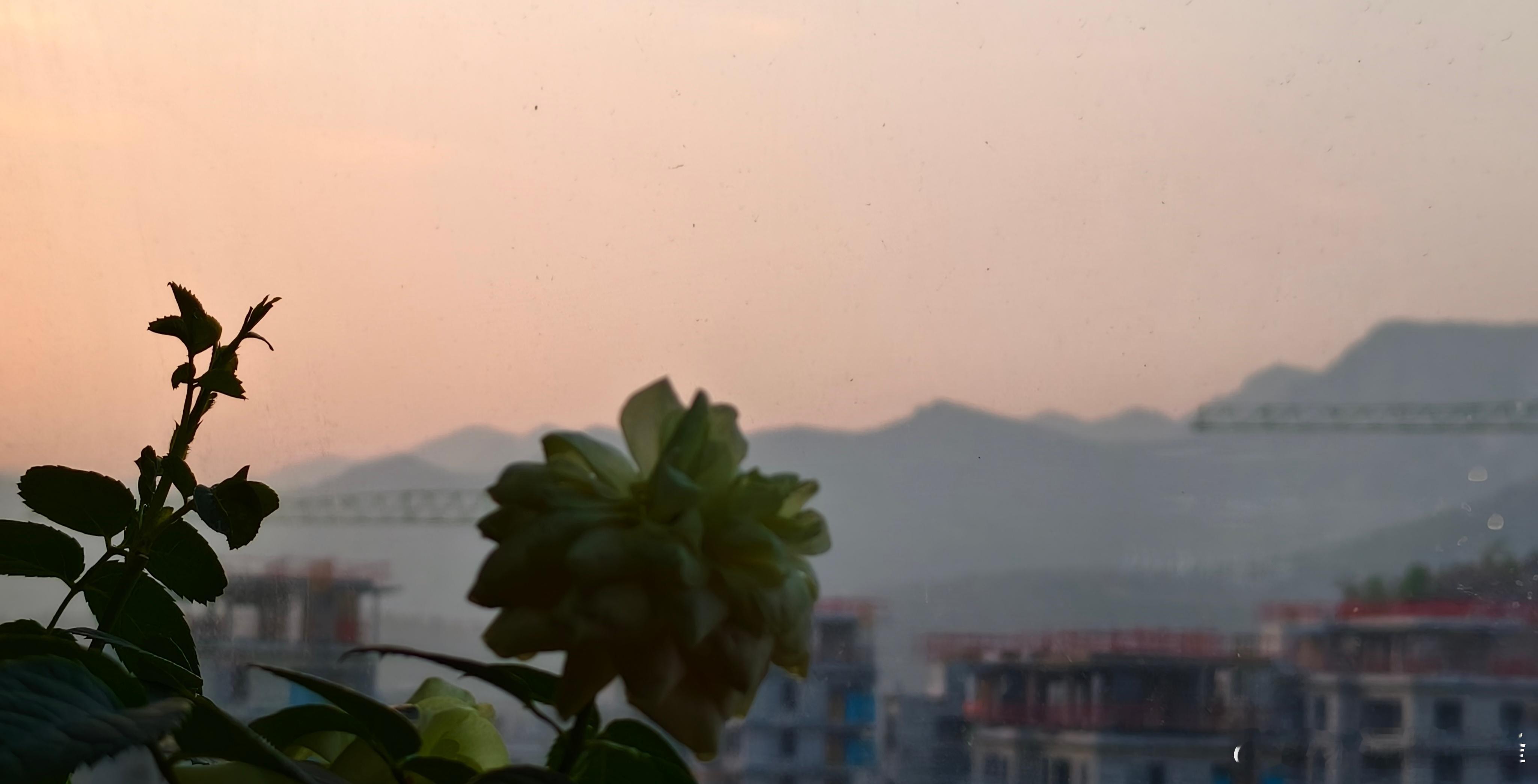 每个周六都是欣赏完曙光再睡觉~~~周六熬夜写稿子已经成为常态了。 