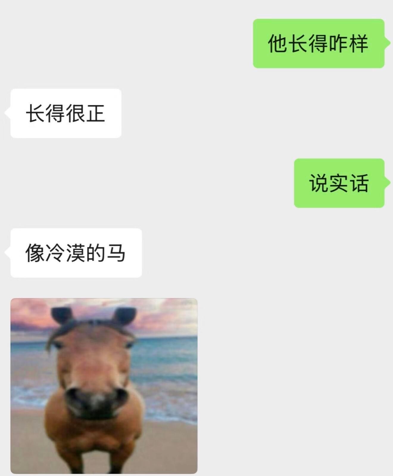 当相亲介绍人说实话 
