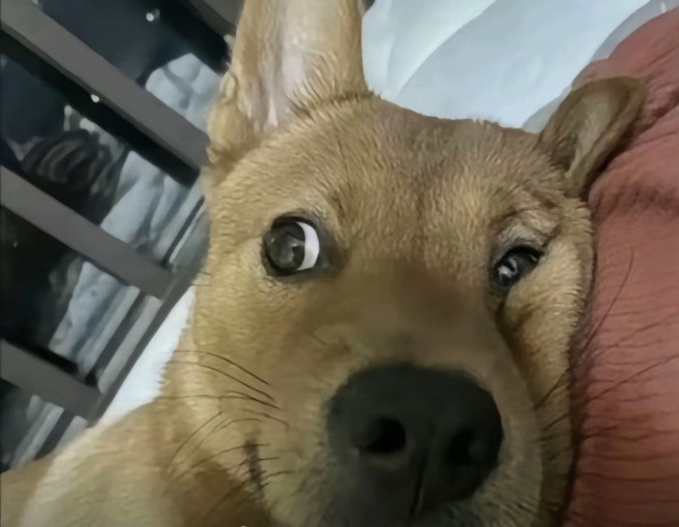 此时此刻的你 ​​​