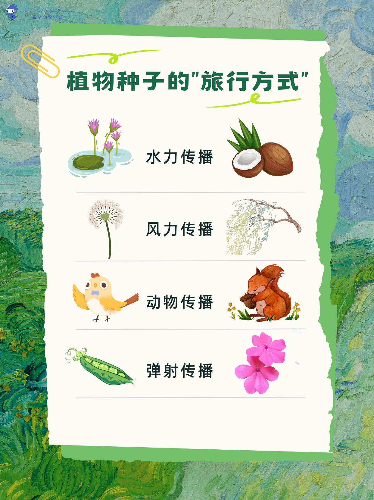 植物妈妈有办法传播自己的种子大自然里的“种子”们每分每秒都在上演着传播种子的奇妙