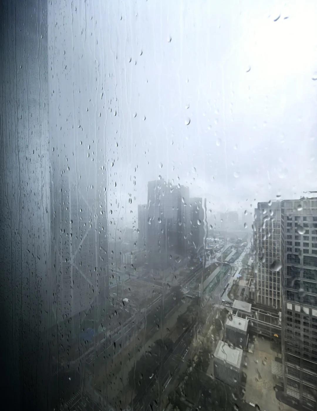 广州·首场暴雨天
突然一场雨 雨季开始了