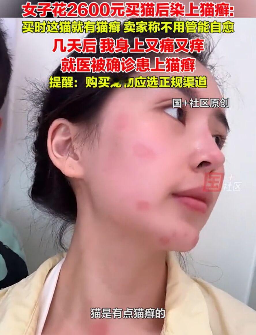 浙江嘉兴一女子花2600元买猫，本想给生活添点乐子，没想到却添了大麻烦。买猫时卖