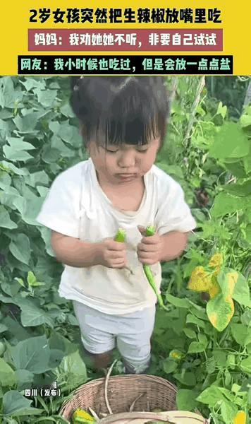 “真的被辣懵了！”四川一个两岁的小萌娃，在奶奶的菜园里搞出了大动静——她趁妈妈扭