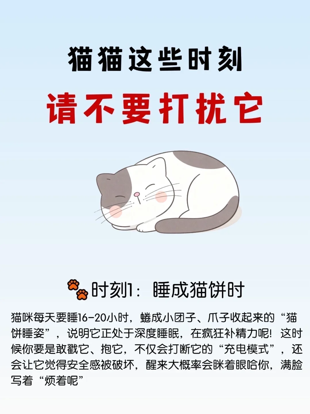 猫猫这些时刻，不要打扰它