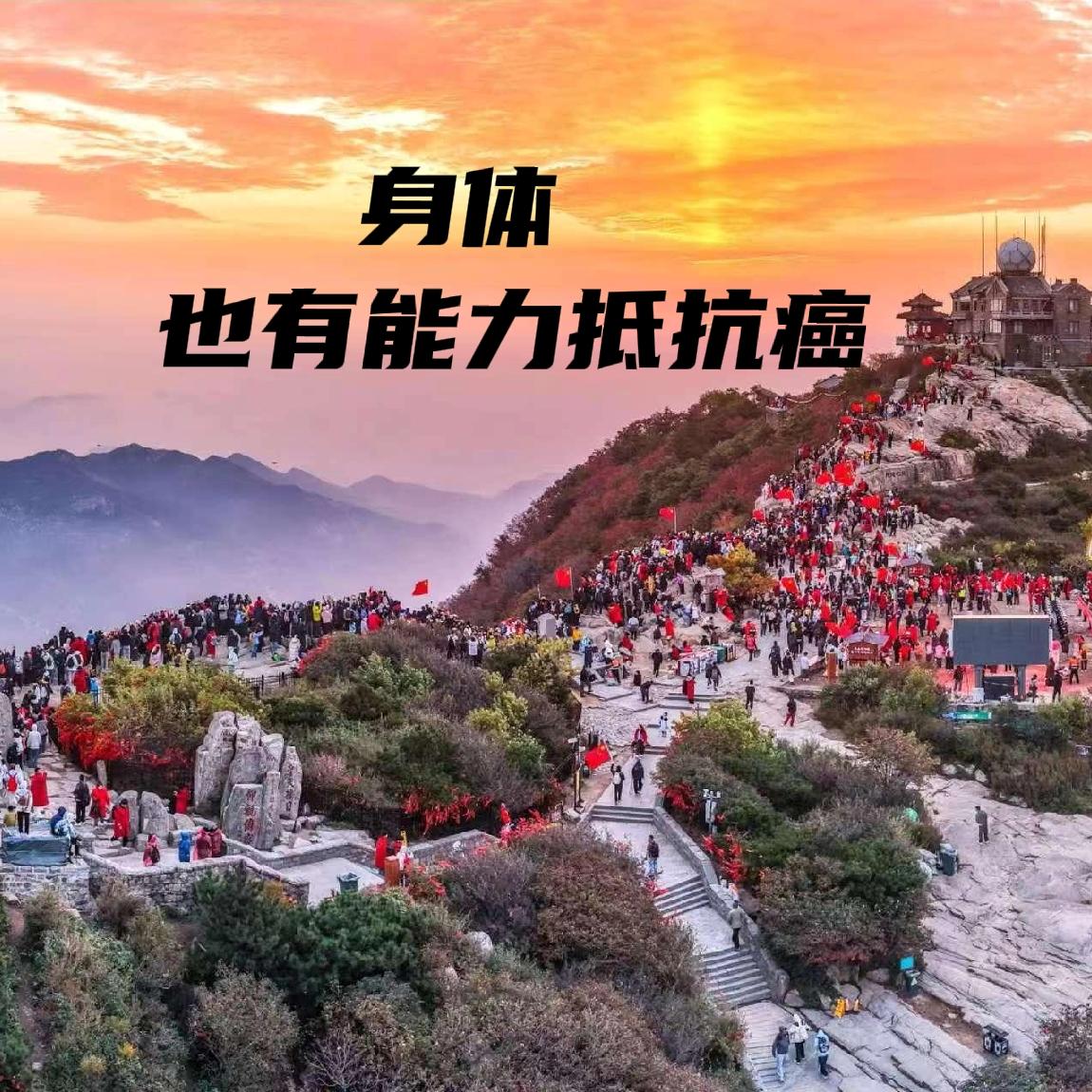 儿子的选择有道理。
77岁了，胃癌，手术和化疗确实不是最好的选择。
①大伤元气，