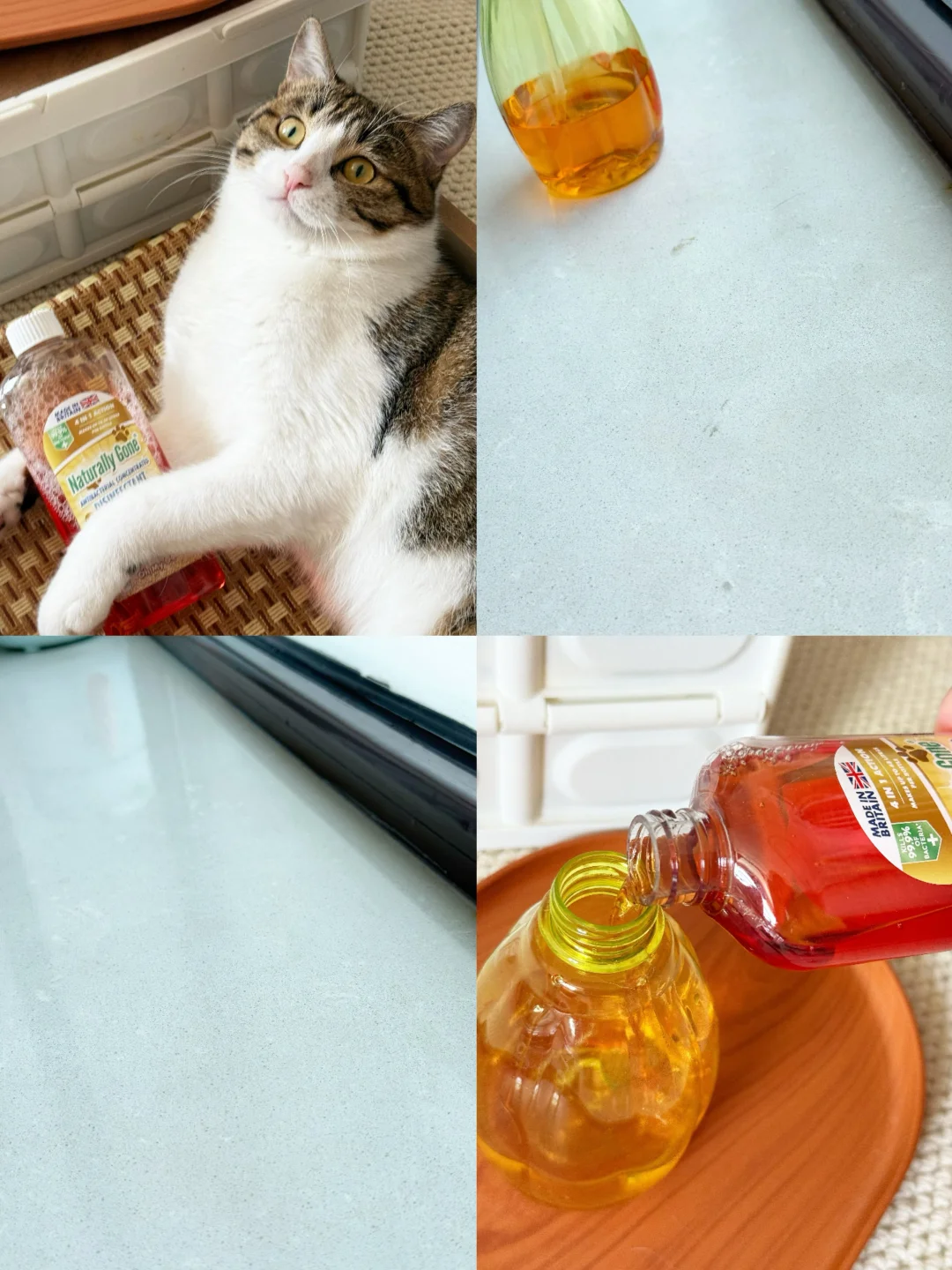 养宠人家里没有猫味 就藏在这瓶里🧹🐾