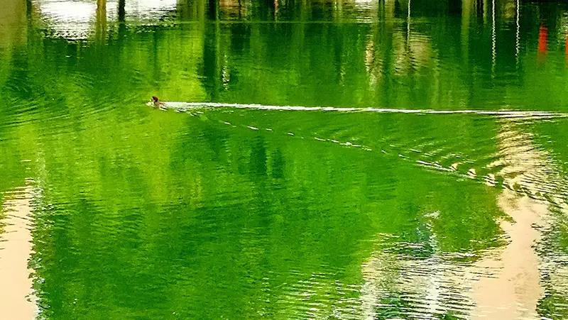 看到“青山藏画意”求下联，这上联很有韵味，青山之中似藏着一幅幅绝美画卷。
从对联