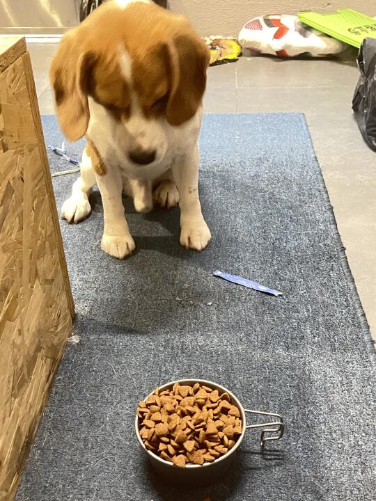 还是有点小时候的影子