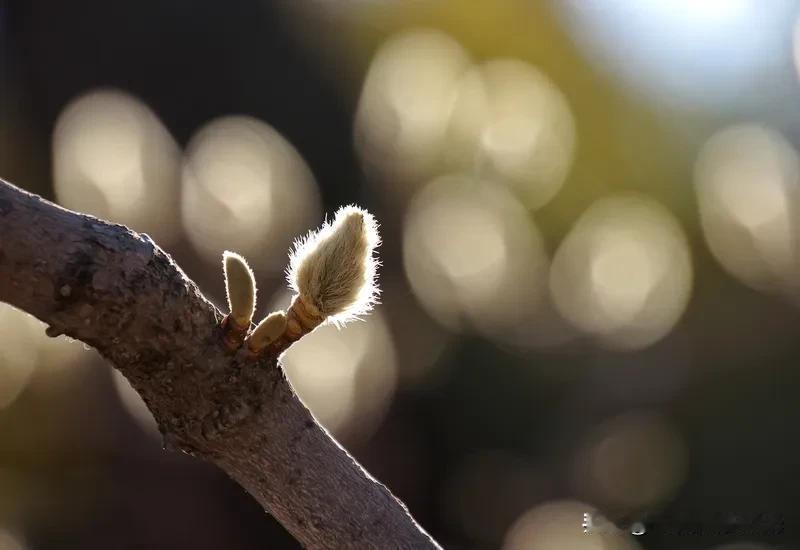 哥嫂妄图霸占妹妹遗产，竟把她送进洗浴中心

夜晚像一大桶浓稠的墨汁，“哗啦”一下