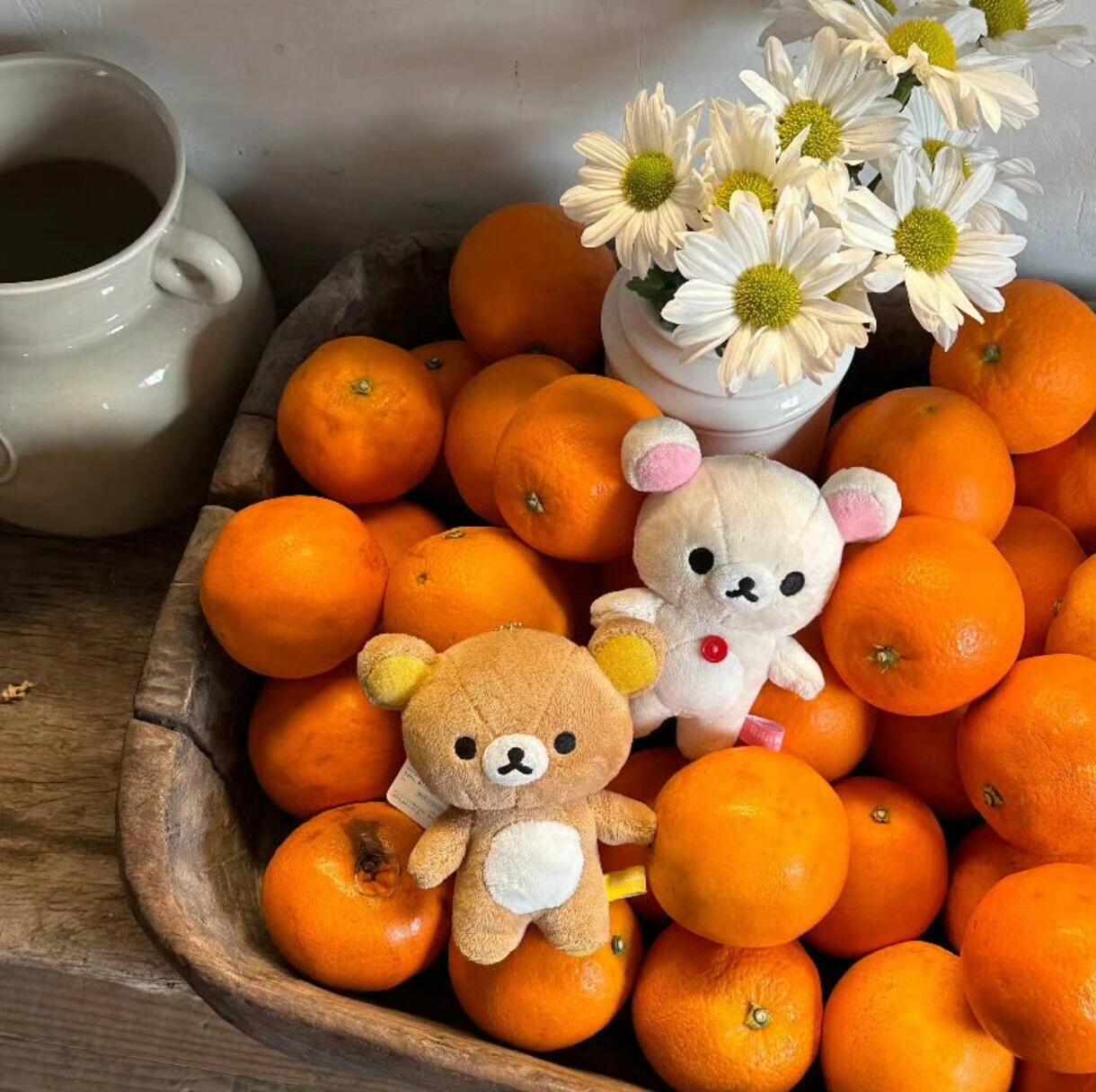 小众橙色系背景图｜玻璃晴朗，橘子辉煌໑🍊 ​​​