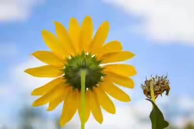 写给自己，往后余生，不求大富大贵，只求内心充盈

生在红尘中的我们，不是这个世界