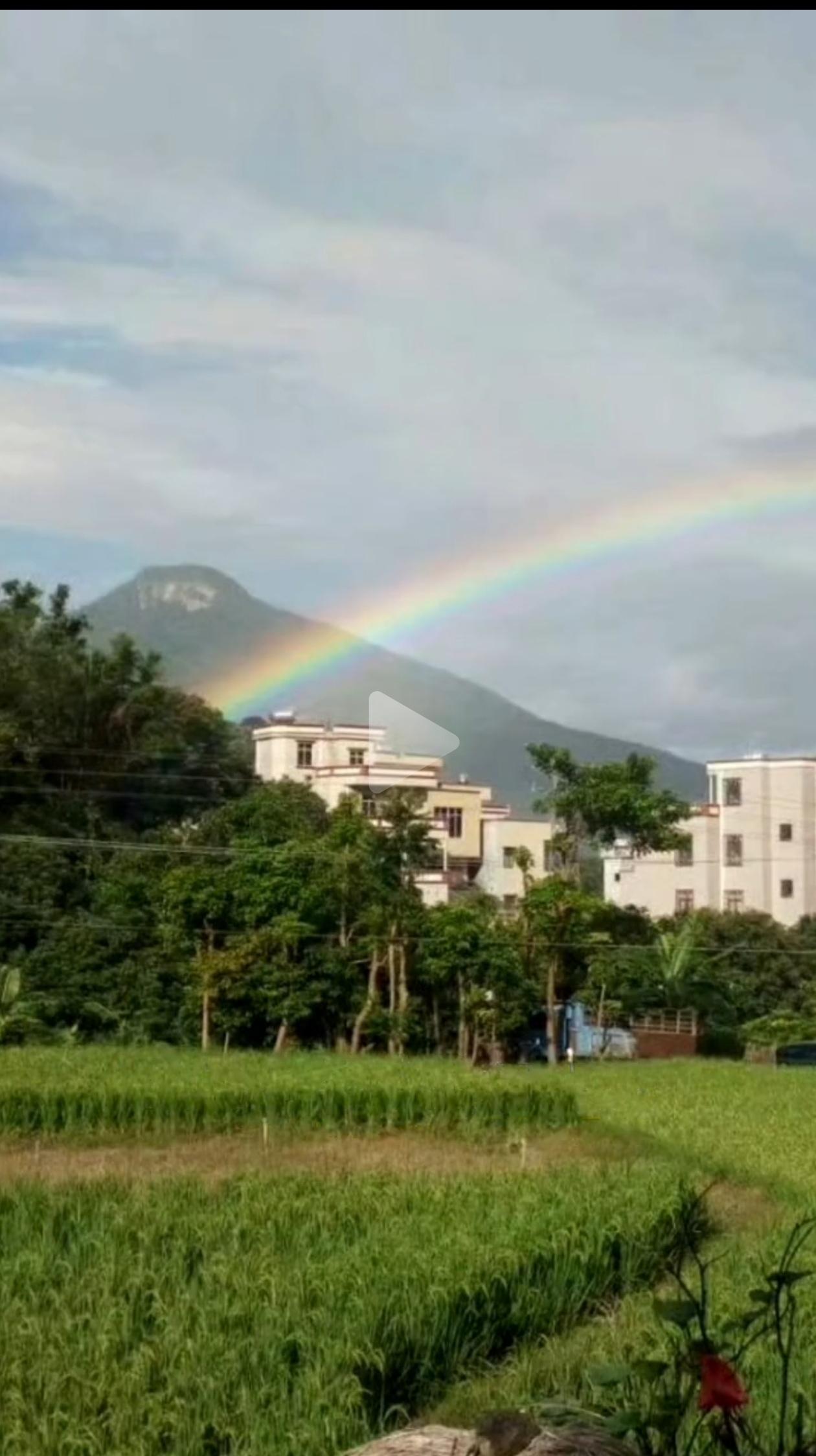 我的今日状态：😁轻松愉快
我这里的天气：🌈雨过天晴
今天早上的广州，下起了小