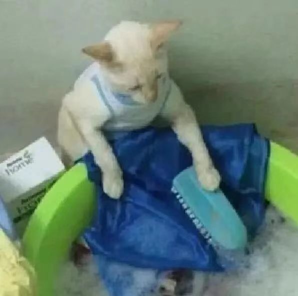 【洗衣服，水温越高越好吗？】很多人洗衣服时会觉得，水温越高，污渍就越容易被洗掉。