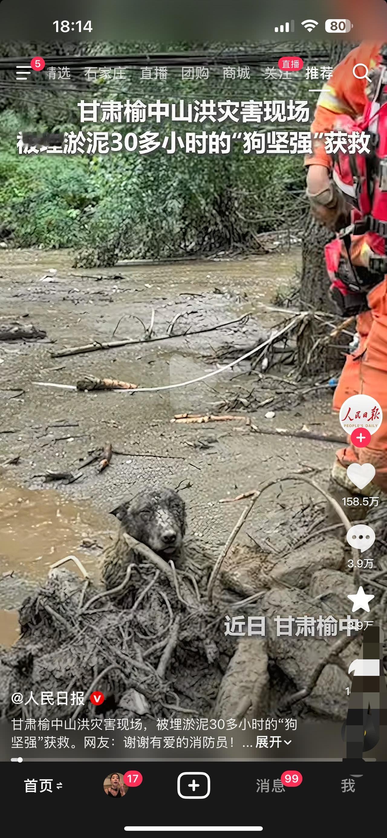 甘肃榆中山洪灾害现场
被埋淤泥30多小时的“狗坚强“获救

甘肃榆中，淤泥下的生
