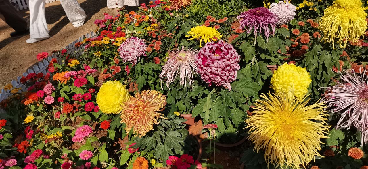 有没有人和我炒股一样的？

买了票后亏钱了不大跌不加仓

账户这几天赢利多了立马