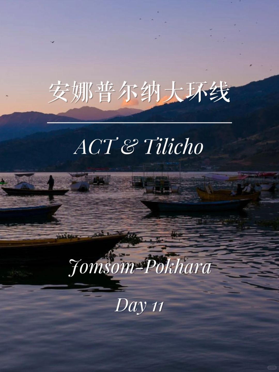 安娜普尔纳大环线-Day11 | 长线系列
