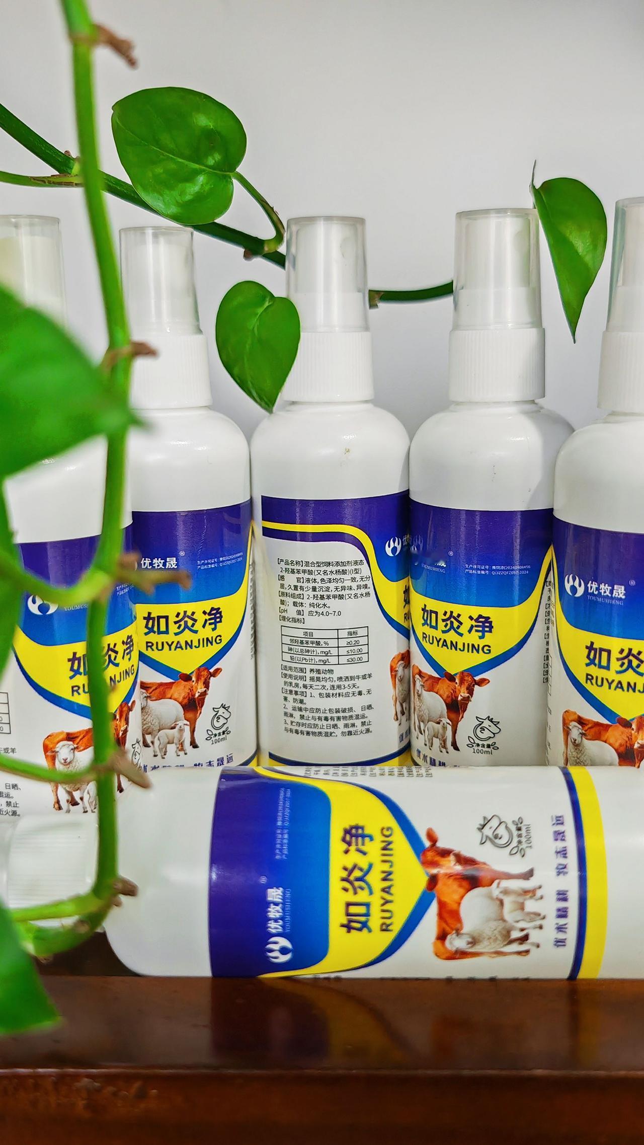 养羊人 农村养羊 牛羊养殖