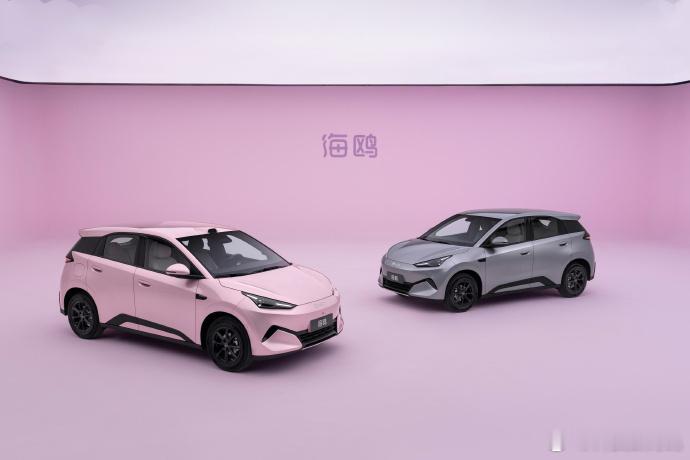 第二代海鸥来了啊，从初代一台便宜的城市代步微型电车，升级到一台兼顾家用、能跑高速