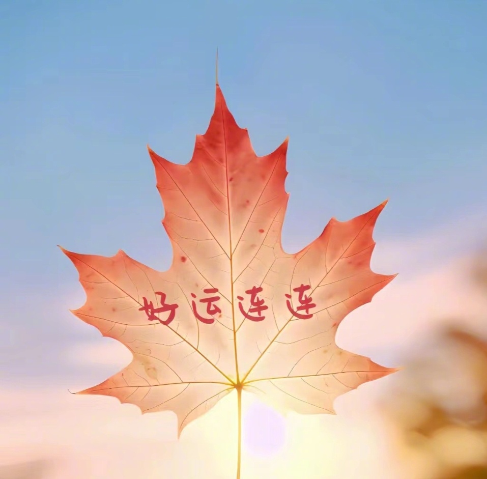 会星座的兔子 星座 3s点赞沾沾好运，评论留言，好运常伴你左右，好消息也会接踵而