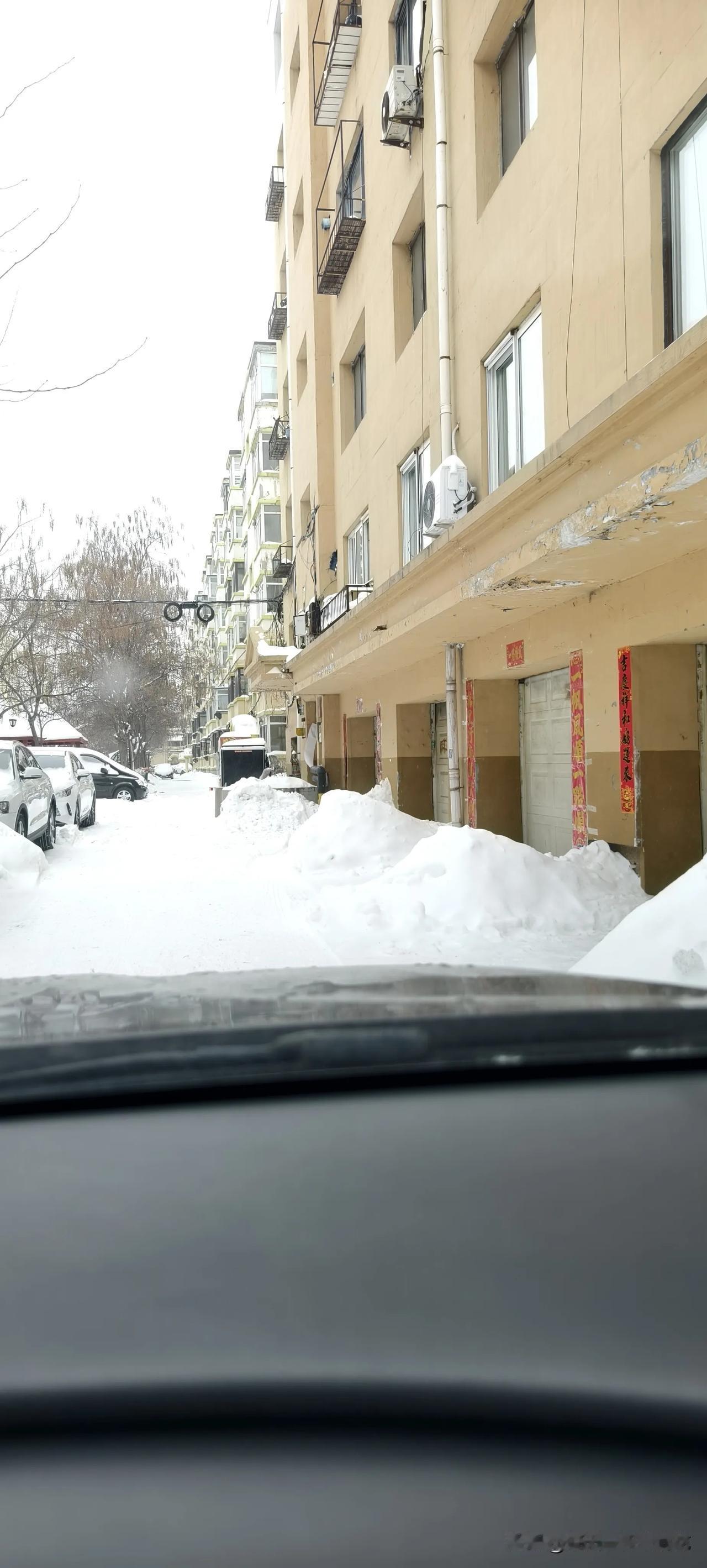 好大的雪！瑞雪兆丰年，
看看沈阳的瑞雪多应景