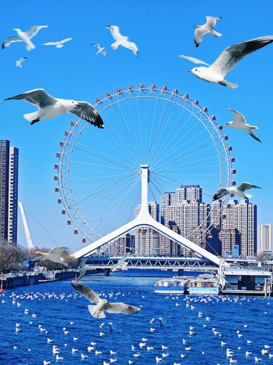 离开天津前，别忘了来这里看看...