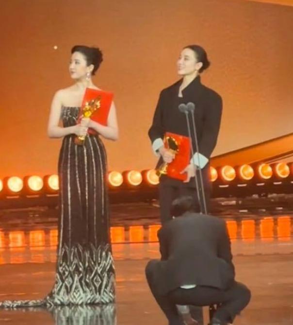 这样的获奖组合，和去年很相似。上次是刘亦菲凭借《玫瑰的故事》大火，而实力派宋佳《