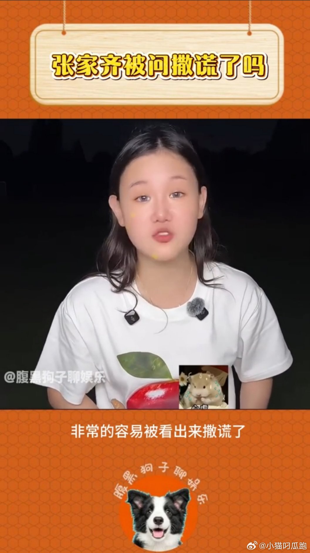 张家齐解释自己撒谎很容易被看出来我家那闺女 从奥运赛场走出来的人，早就习惯了靠硬