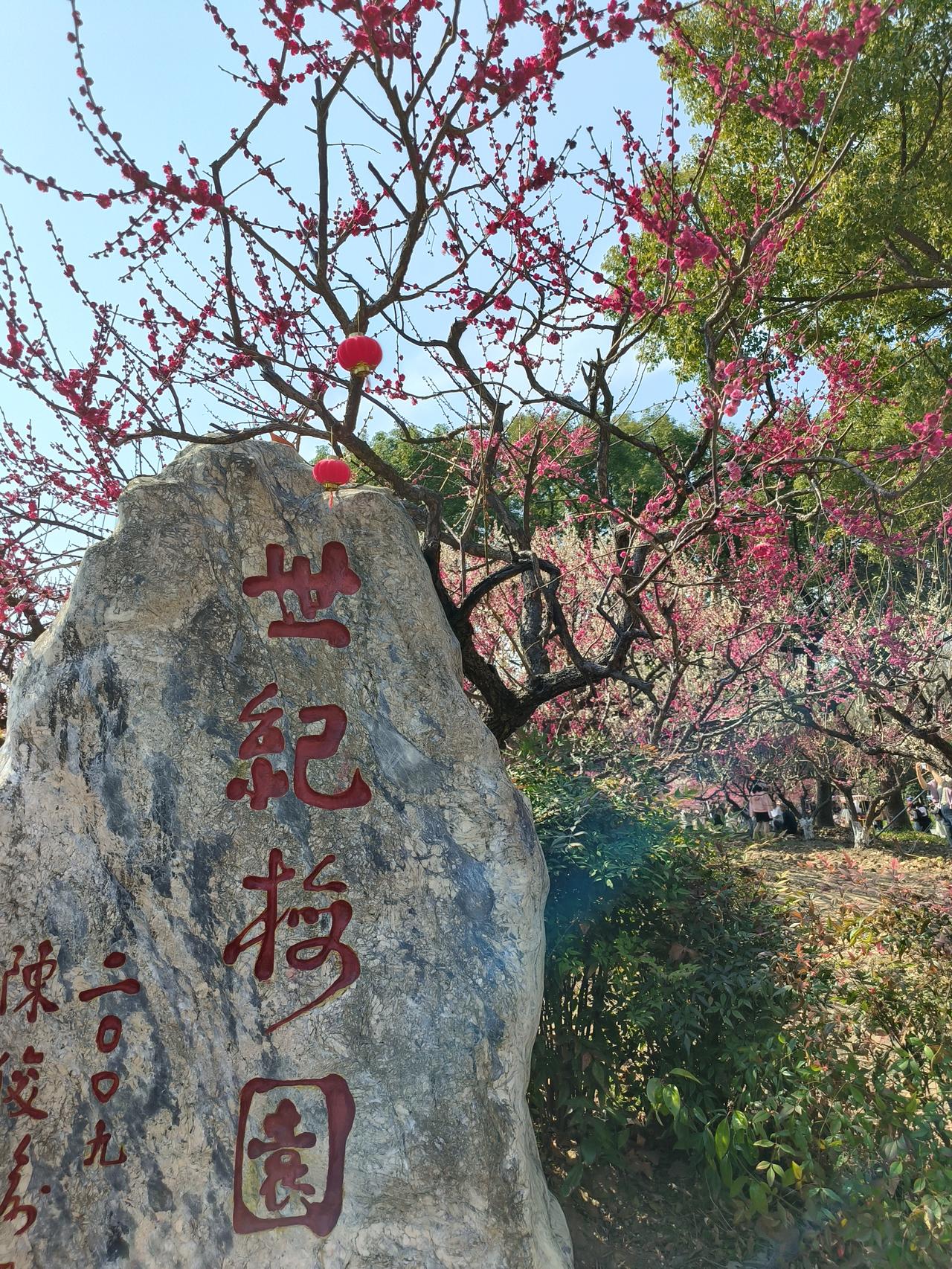世纪公园之世纪梅园~🌸🌸🌸🌸🌸🌸🌸🌸🌸🌸🌸🌸🌸🌸🌸