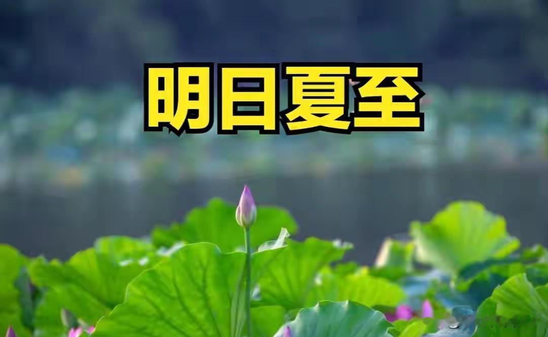 明日夏至，提醒中老年：1不洗、2不吃、3要忌、4要忌、4要吃，盛夏别大意
 
明