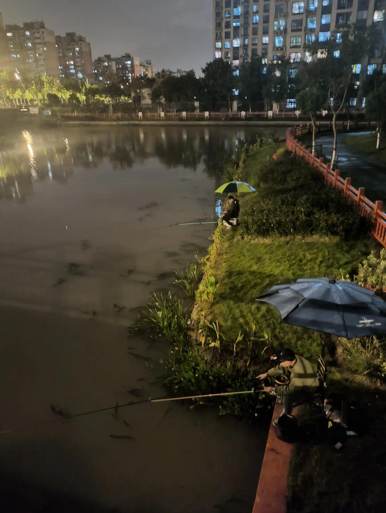 你说这大雨天的，窝在家里追剧不香吗？搞俩小菜喝点小酒不香吗？偏要跑来这儿守着这么