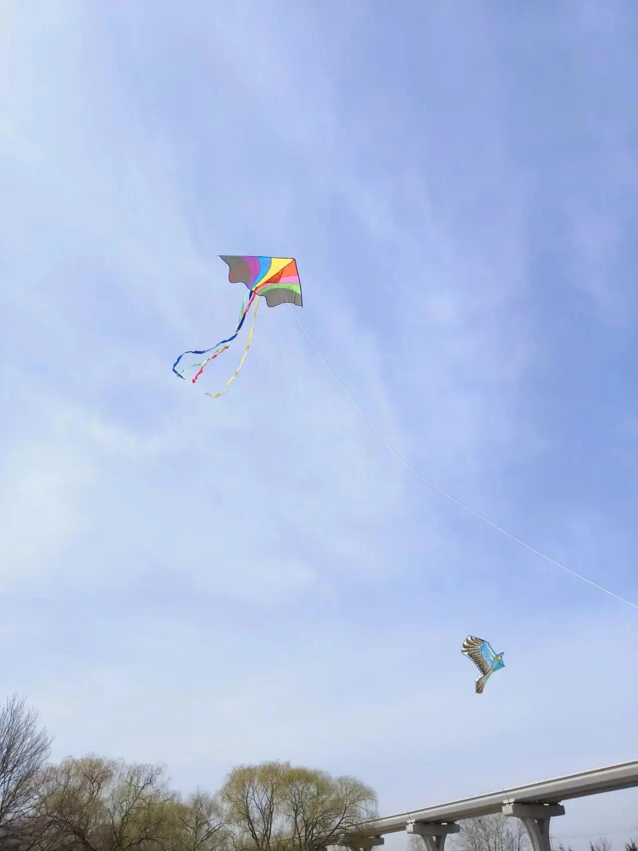想在春夜看一场星星，在清晨等一场花开。把想说的话写在风筝上，让春风寄给远方。愿这