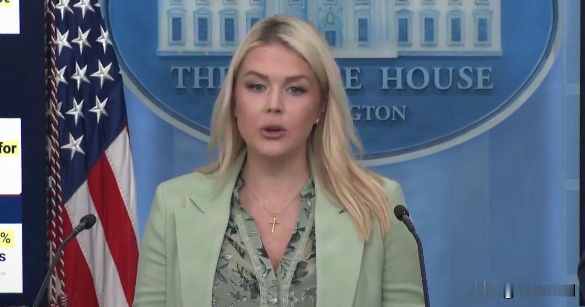 白宫发言人莱维特就伊朗封锁表示：

“封锁已全面实施，并对所有进出伊朗港口的国家