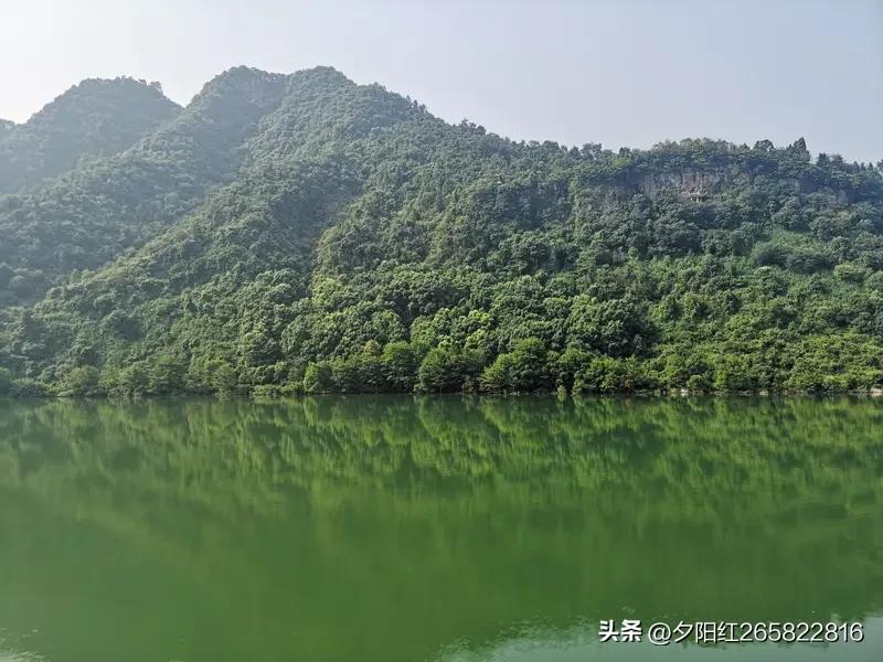 夏日，最适合追寻“粗茶淡饭随缘过，绿水青山任意游”的惬意。粗茶淡饭，本就是生活简