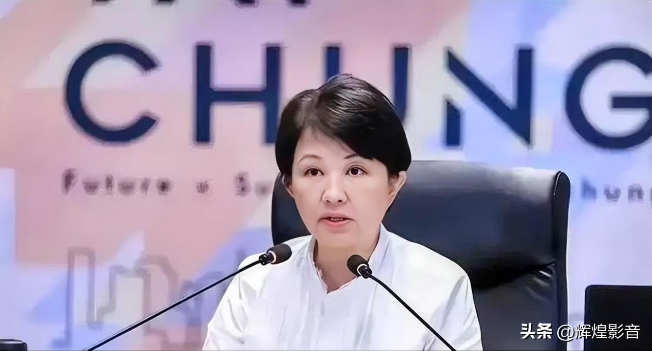 看似温和务实，实则暗合绿营！卢秀燕到底为谁谋利？

很多人眼中，台中市长卢秀燕是