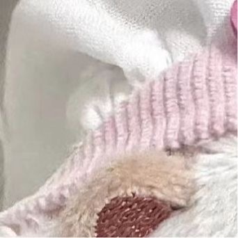 种植  1500玫瑰的种植方法一、土壤选择：玫瑰花适宜生长在疏松、肥沃、排水良好