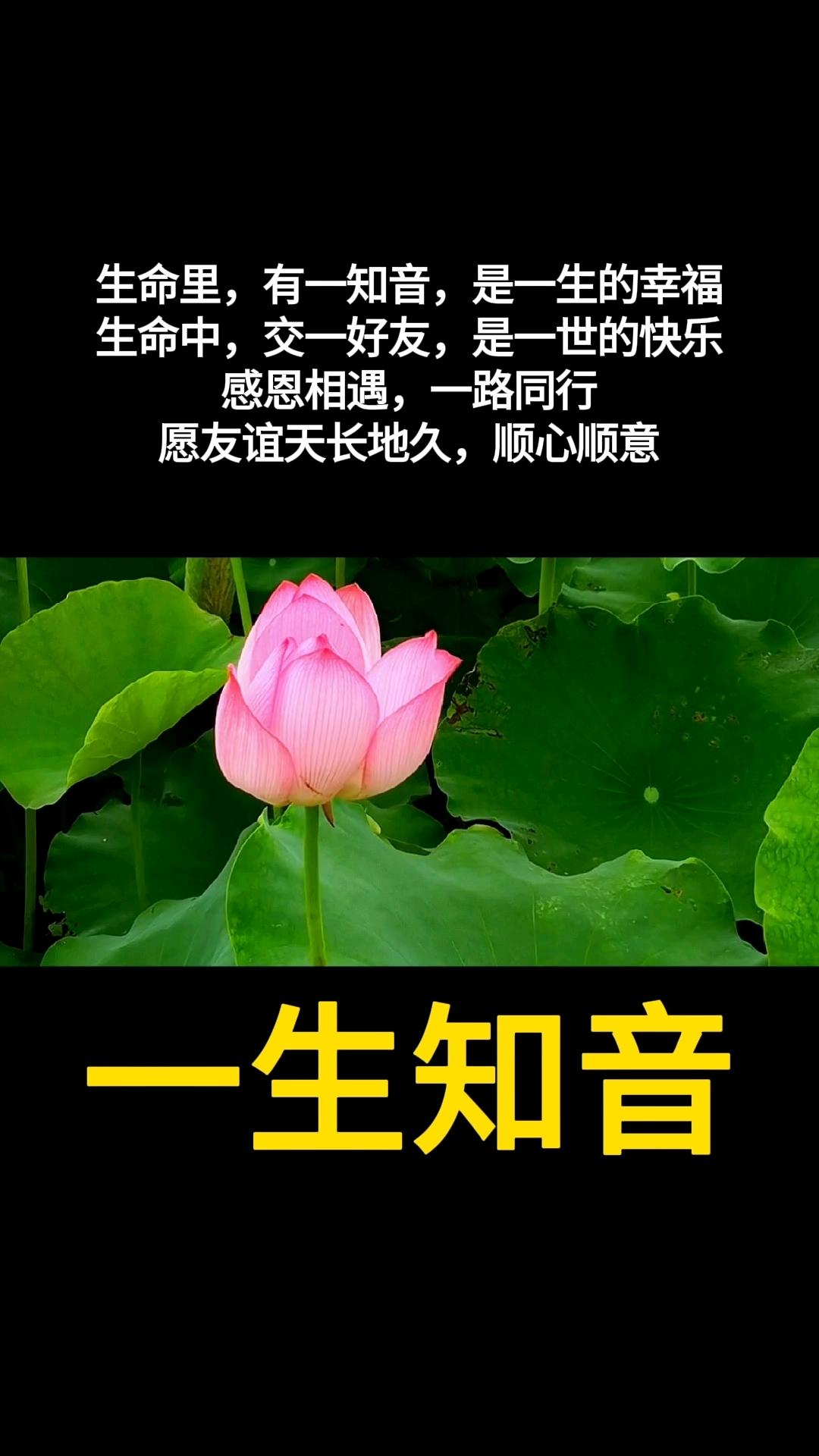 四季皆欢喜
 
我喜欢
春天的花
夏天的雨
秋天的果
冬天的雪🌨️
和每天的你