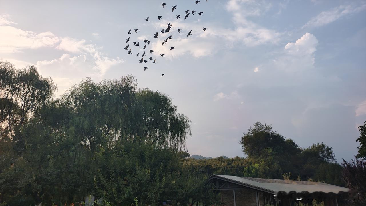 把心事交给晚风吧
做好你八九月的事
十一二月自有答案
[微风] [微风] [微风